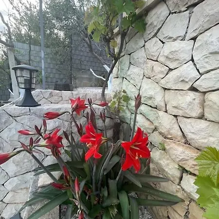 فيلة Beachfront With Pool - Myway *