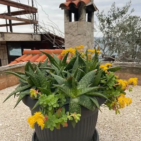 Beachfront With Pool - Myway فيلة *