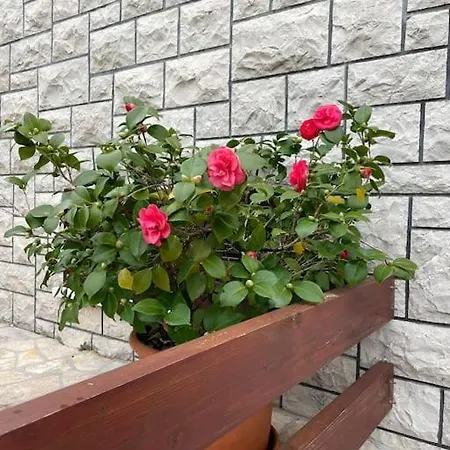 فيلة Beachfront With Pool - Myway *