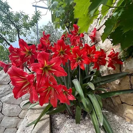 Beachfront With Pool - Myway فيلة تروغير