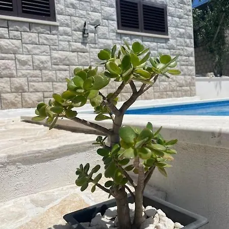 Vila Beachfront With Pool - Myway
