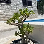 Villa Beachfront With Pool - Myway